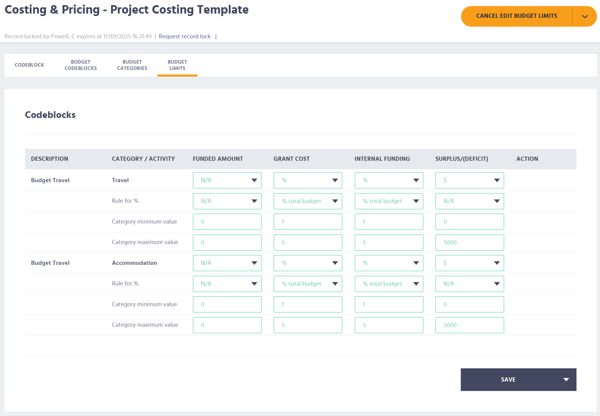 Costing & Pricing Template Budget Limits